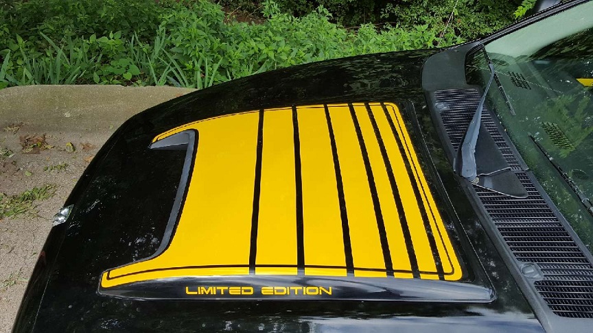 "Rumble Bee" Custom Limited Edition Hood Scoop Decal Kit - Click Image to Close